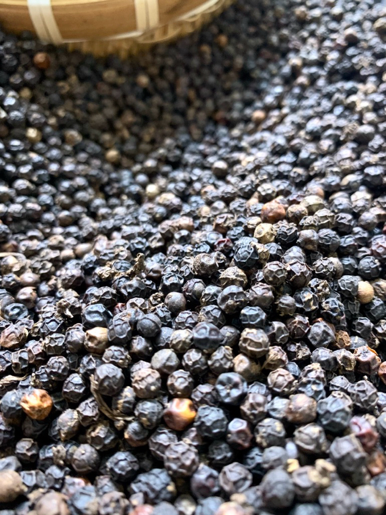(100g)Hạt Tiêu Đen Chuẩn Tiêu ORGANIC Chín Đỏ Vườn Nhà Trồng-Trãi Nghiệm Hàng Loại 1,Siêu Thơm Cay Nồng Chất Lượng Cao