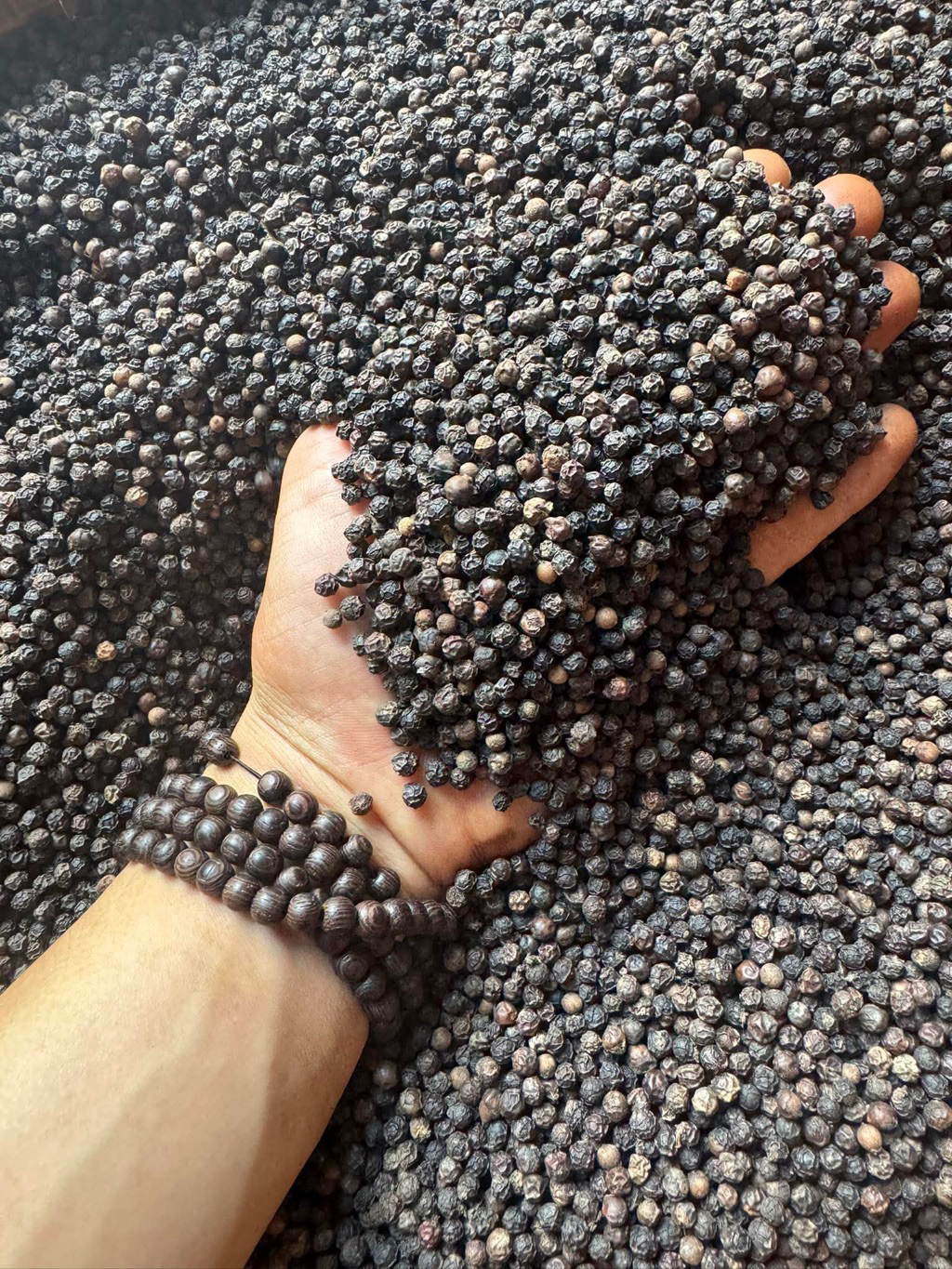 (100g)Hạt Tiêu Đen Chuẩn Tiêu ORGANIC Chín Đỏ Vườn Nhà Trồng-Trãi Nghiệm Hàng Loại 1,Siêu Thơm Cay Nồng Chất Lượng Cao