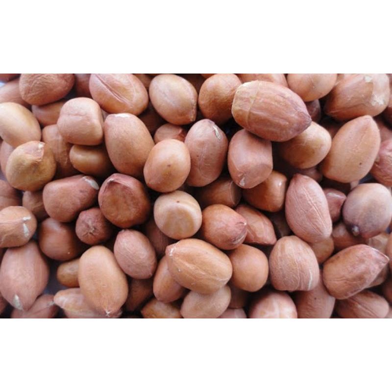 1KG ĐẬU PHỘNG SỐNG / ĐỖ LẠC SỐNG _ Hàng loại 1 chuẩn đẹp _ đậu phộng giá sỉ _  nông sản giá sỉ