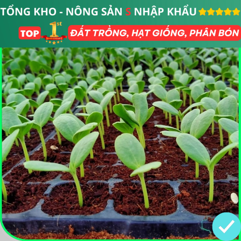 Đất trồng cây viên nén xơ dừa, giá thể trồng rau mầm, trồng rau củ quả hoa sen đá hạt giống