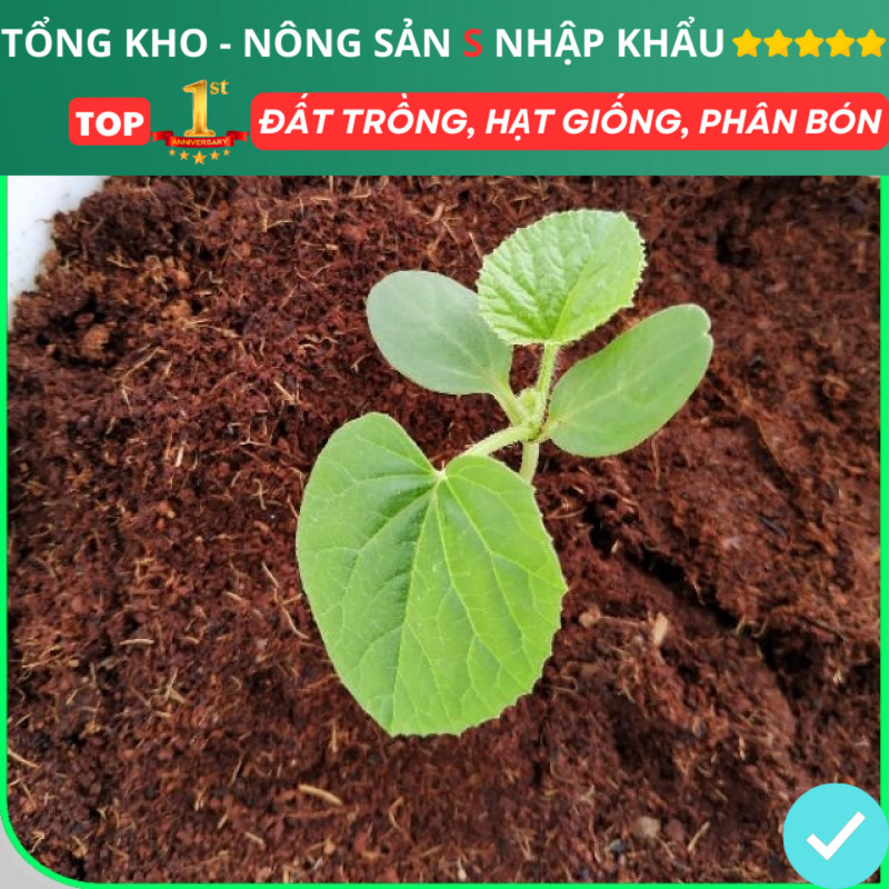 Đất trồng cây viên nén xơ dừa, giá thể trồng rau mầm, trồng rau củ quả hoa sen đá hạt giống