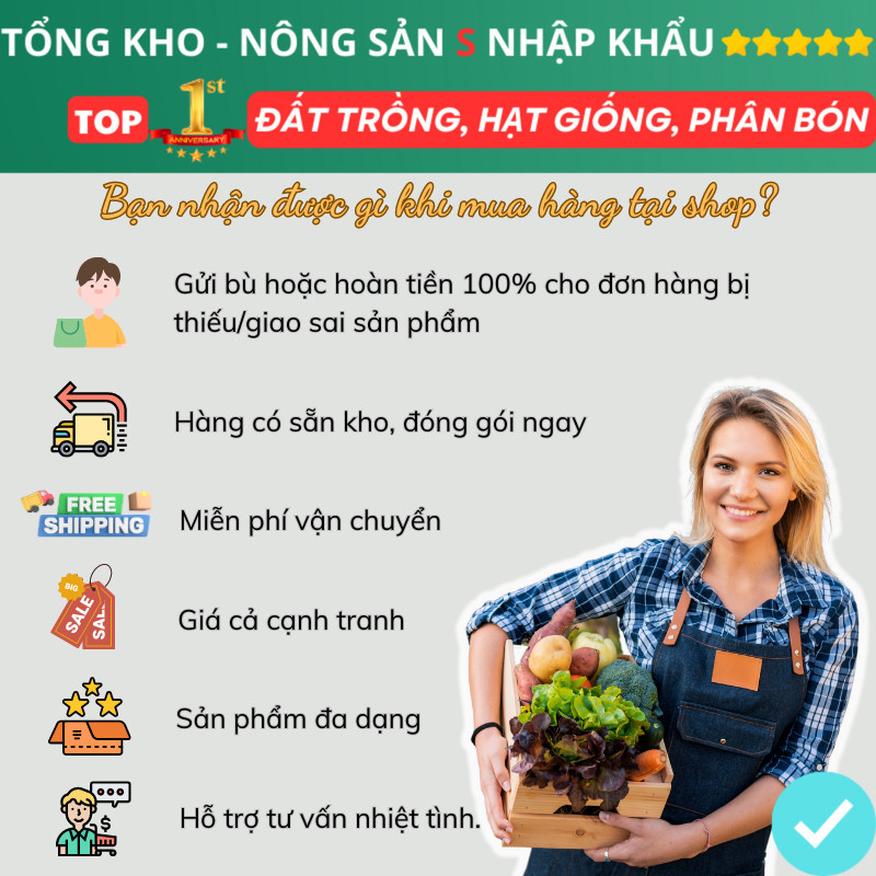 Đất trồng cây viên nén xơ dừa, giá thể trồng rau mầm, trồng rau củ quả hoa sen đá hạt giống