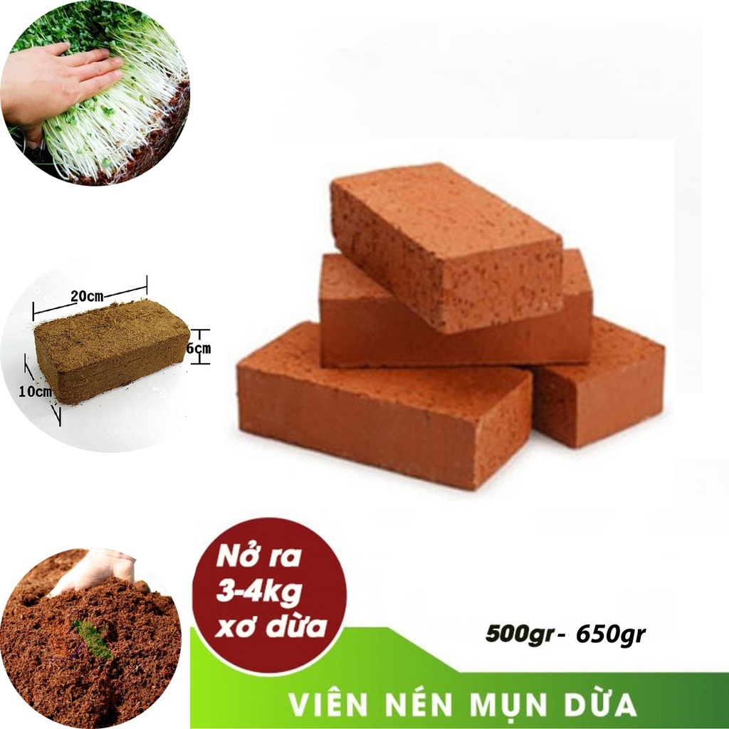 Đất trồng cây viên nén xơ dừa, giá thể trồng rau mầm, trồng rau củ quả hoa sen đá hạt giống