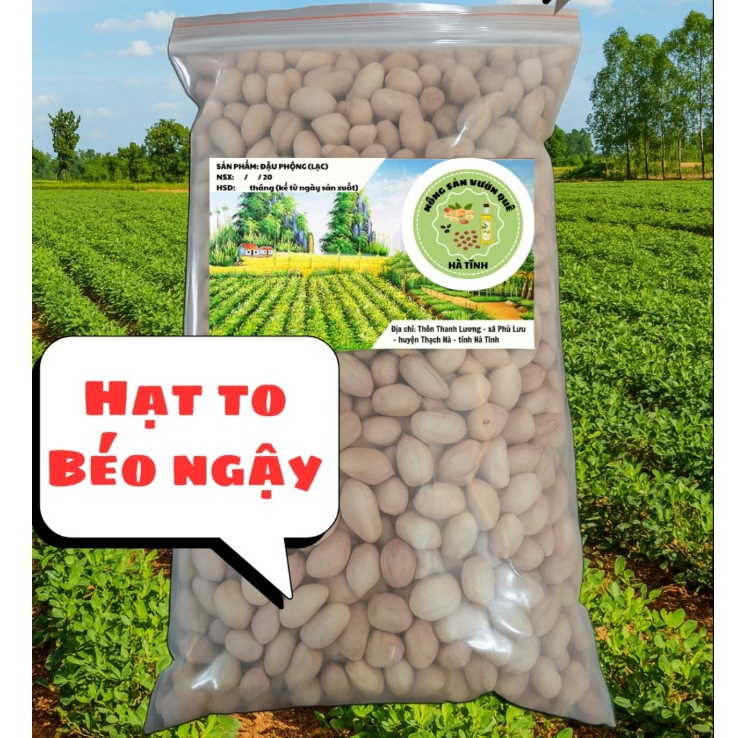 Đậu Phộng Tách Vỏ Loại 1 – Lạc Nhân Hà Tĩnh – Nông Sản Vườn Quê – Túi zíp 1kg – Hạt to, béo ú ụ