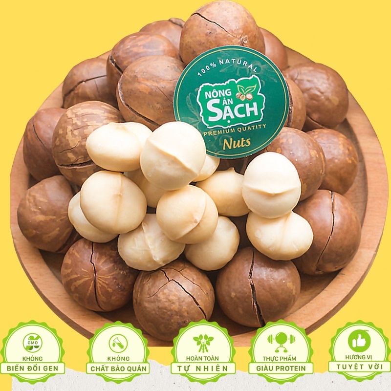 Hạt Macca Lâm Đồng Size A Sấy Lạnh Cao Cấp Nhà Trồng Di Linh, Béo Bùi, Cam Kết Không Hôi Dầu | Nông Sản Sạch