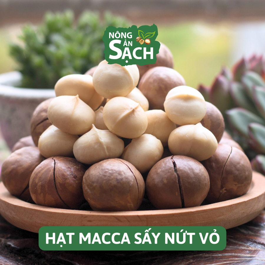 Hạt Macca Lâm Đồng Size A Sấy Lạnh Cao Cấp Nhà Trồng Di Linh, Béo Bùi, Cam Kết Không Hôi Dầu | Nông Sản Sạch