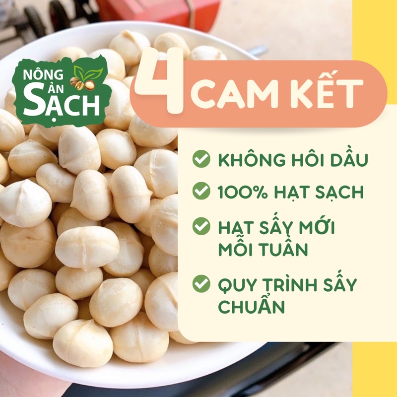 Hạt Macca Lâm Đồng Size A Sấy Lạnh Cao Cấp Nhà Trồng Di Linh, Béo Bùi, Cam Kết Không Hôi Dầu | Nông Sản Sạch
