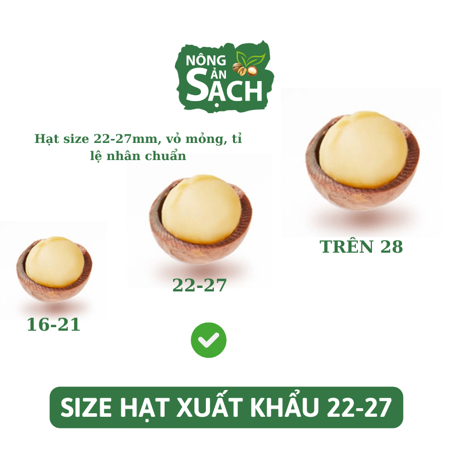 Hạt Macca Lâm Đồng Size A Sấy Lạnh Cao Cấp Nhà Trồng Di Linh, Béo Bùi, Cam Kết Không Hôi Dầu | Nông Sản Sạch