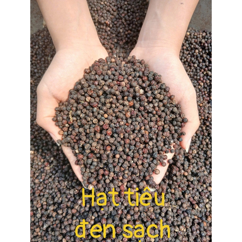 Hạt Tiêu Đen Đắk Lắk Nguyên Chất 1kg - Giá Rẻ, Tiêu Sạch Nhà Vườn. Nguyên Hạt, Cay Thơm Tự Nhiên.