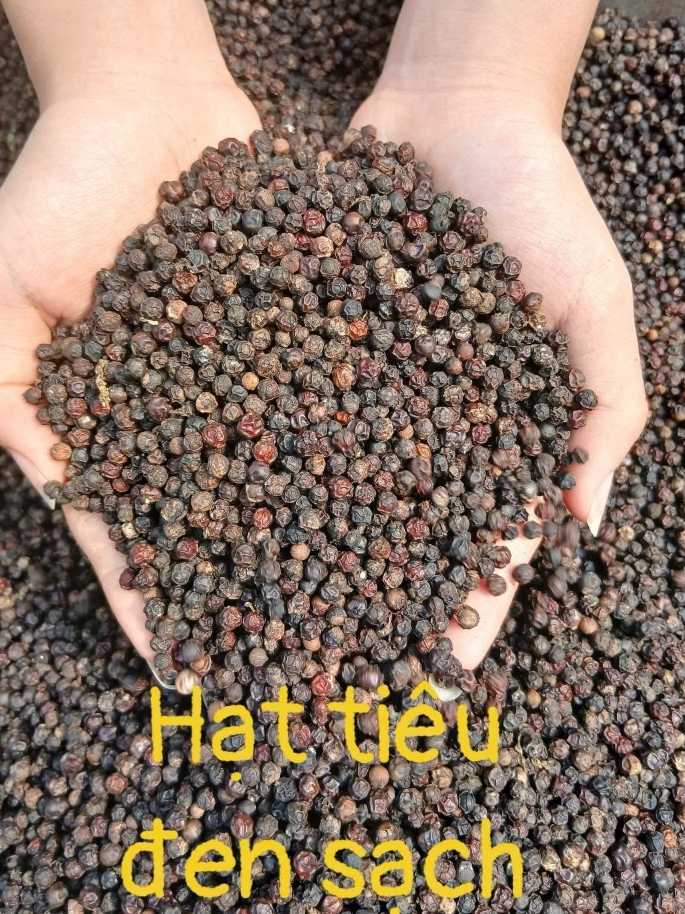 Hạt Tiêu Đen Đắk Lắk Nguyên Chất 1kg - Giá Rẻ, Tiêu Sạch Nhà Vườn. Nguyên Hạt, Cay Thơm Tự Nhiên.
