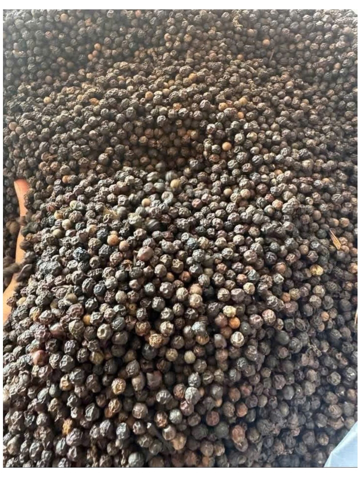 Hạt Tiêu Đen Đắk Lắk Nguyên Chất 1kg - Giá Rẻ, Tiêu Sạch Nhà Vườn. Nguyên Hạt, Cay Thơm Tự Nhiên.