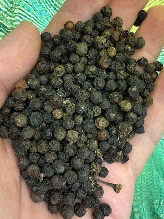 Hạt Tiêu Đen Đắk Lắk Nguyên Chất 1kg - Giá Rẻ, Tiêu Sạch Nhà Vườn. Nguyên Hạt, Cay Thơm Tự Nhiên.