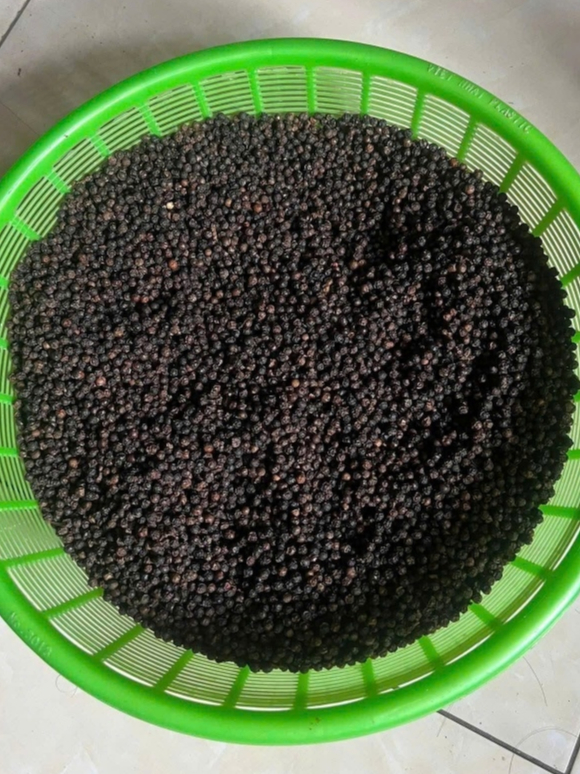 Hạt Tiêu Đen Đắk Lắk Nguyên Chất 1kg - Giá Rẻ, Tiêu Sạch Nhà Vườn. Nguyên Hạt, Cay Thơm Tự Nhiên.