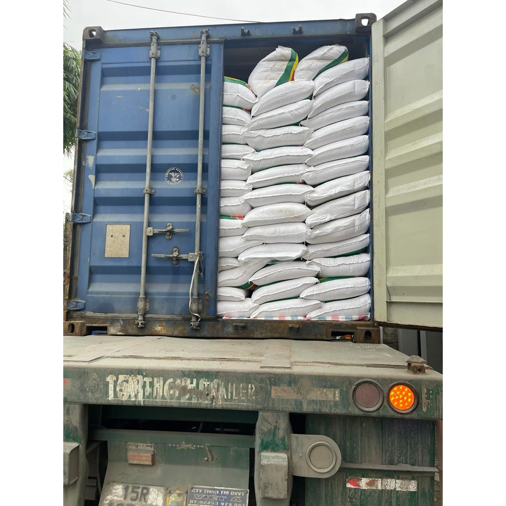 [HOẢ TỐC] GẠO TÁM THƠM ĐẶC SẢN HẢI HẬU - GẠO QUÊ VỤ LÚA MỚI ( DẺO VỪA , MỀM CƠM )