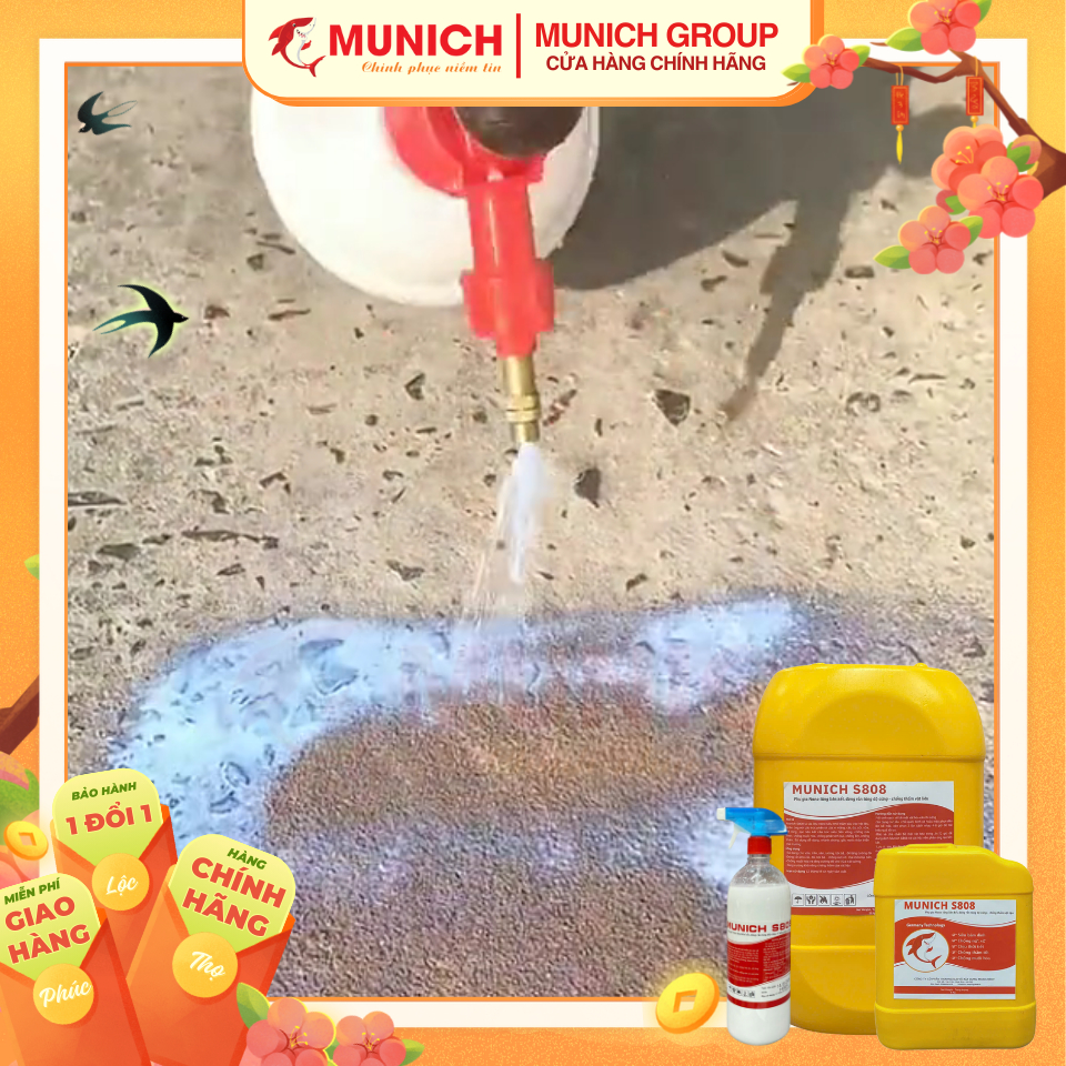MUNICH S808 - Phụ gia Nano tăng độ cứng, liên kết, đóng rắn, chống Muối hoá, chống Rộp Bong Chóc [Dùng cho TƯỜNG và SÀN]