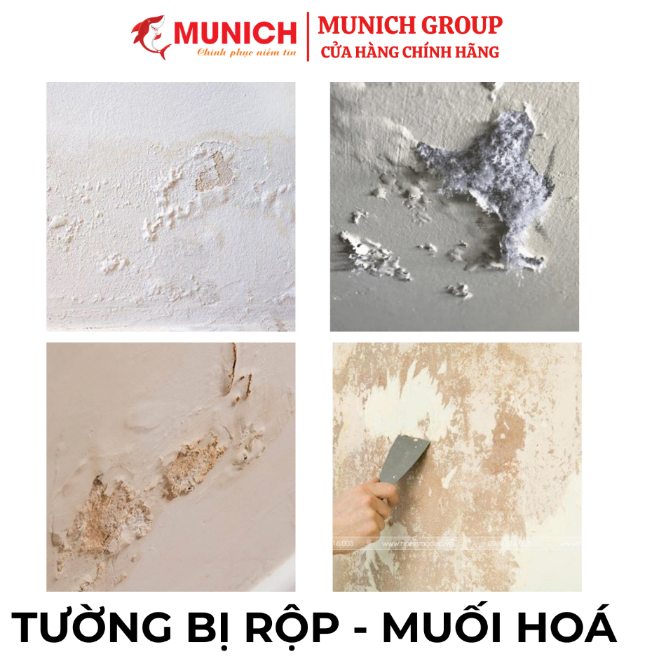 MUNICH S808 - Phụ gia Nano tăng độ cứng, liên kết, đóng rắn, chống Muối hoá, chống Rộp Bong Chóc [Dùng cho TƯỜNG và SÀN]
