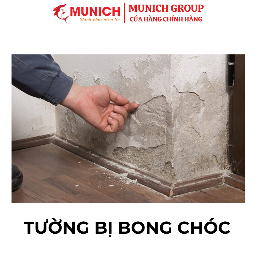 MUNICH S808 - Phụ gia Nano tăng độ cứng, liên kết, đóng rắn, chống Muối hoá, chống Rộp Bong Chóc [Dùng cho TƯỜNG và SÀN]