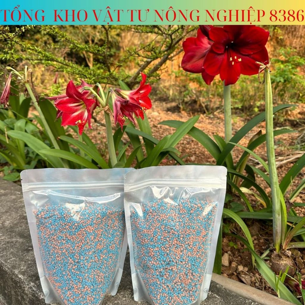 Phân bón tổng hợp NPK,phân bón Nitrophoska giúp cây tăng trưởng và phát triển toàn diện