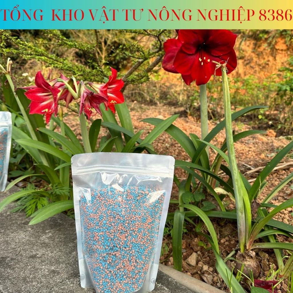 Phân bón tổng hợp NPK,phân bón Nitrophoska giúp cây tăng trưởng và phát triển toàn diện
