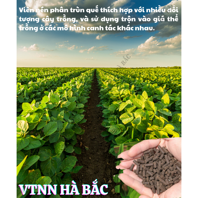 Phân Gà Viên Nhật Bản AKI - Loại 1KG Dùng Cho Tất Cả Các Loại Cây, Phù Hợp Với Các Giai Đoạn Của Cây