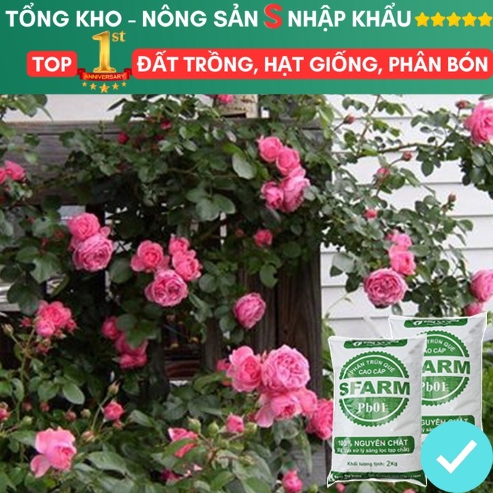 Phân Trùn Quế bao 2kg, Dinh Dưỡng Hữu Cơ, Không Mùi, Tốt Cho Lan, Bonsai, Rau, Cây Ăn Trái.