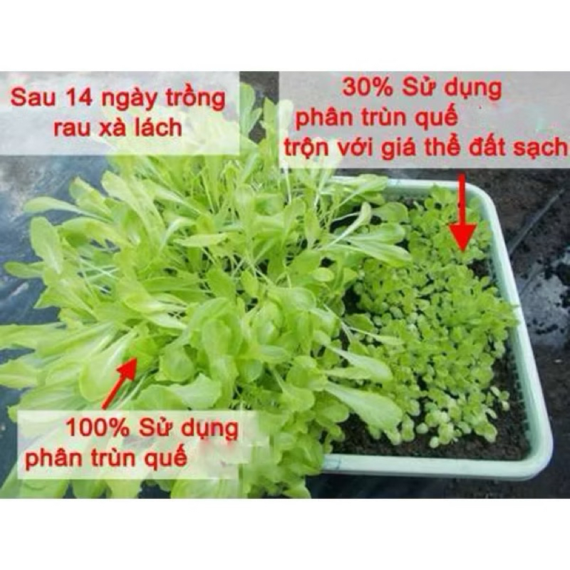 Phân Trùn Quế , Phân Hữu Cơ dạng viên nén ( phân tan chậm) hàng đã qua sàng lọc chất lượng F1