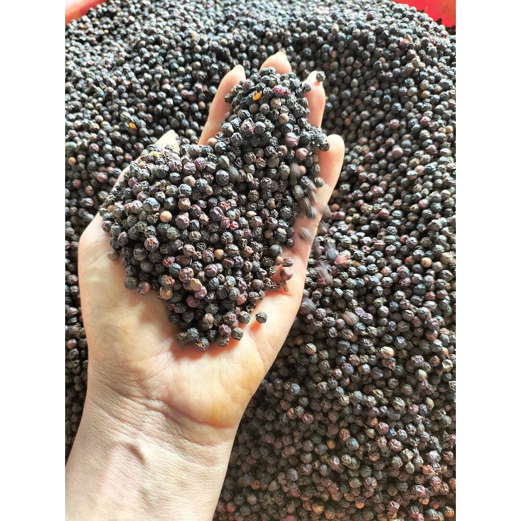 Tiêu Hạt Đen Nguyên Chất Đắk Lắk Nhà Trồng Sạch, Không Hoá Chất Tiêu Đen Khô Nguyên Hạt Thơm Cay