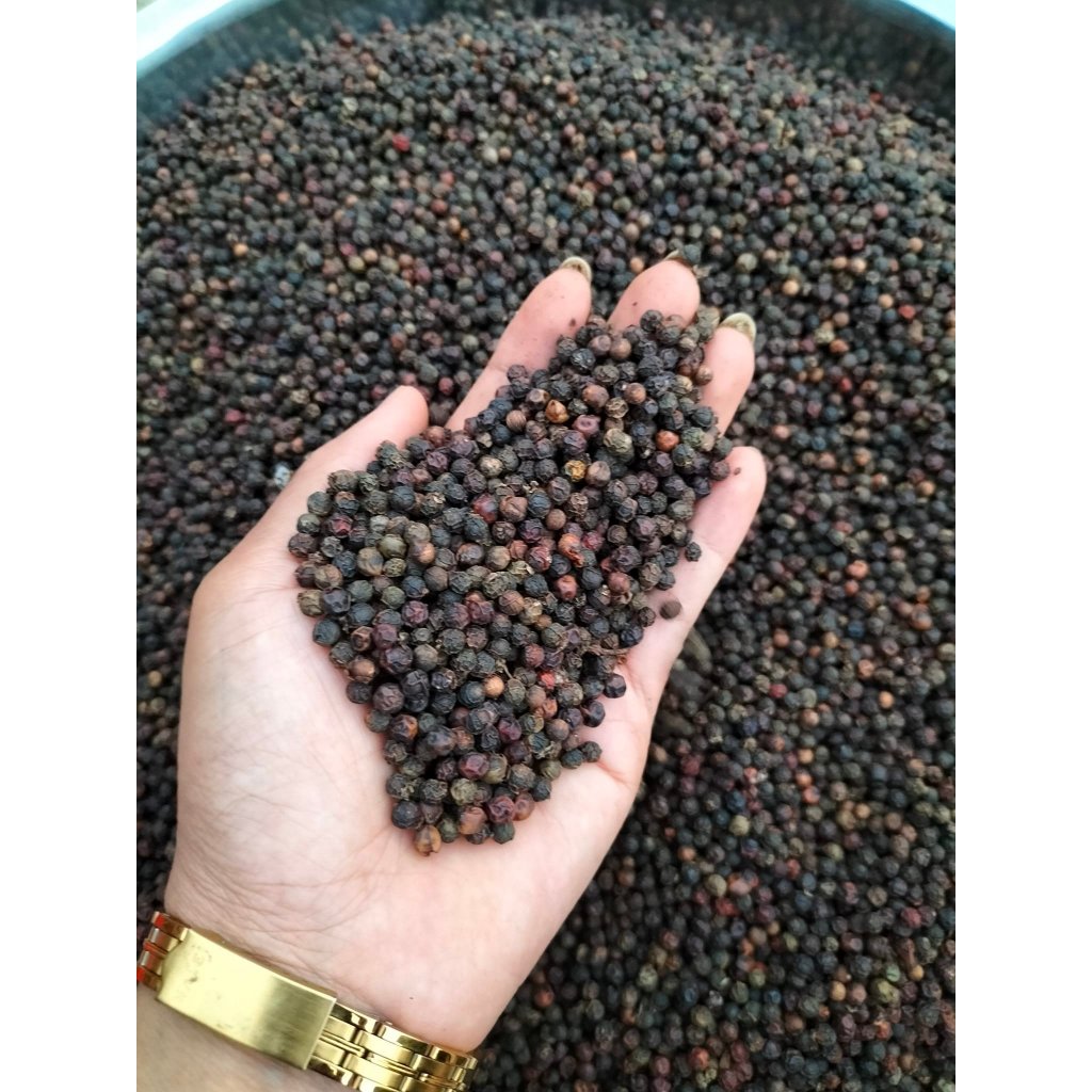 Tiêu Hạt Đen Nguyên Chất Đắk Lắk Nhà Trồng Sạch, Không Hoá Chất Tiêu Đen Khô Nguyên Hạt Thơm Cay